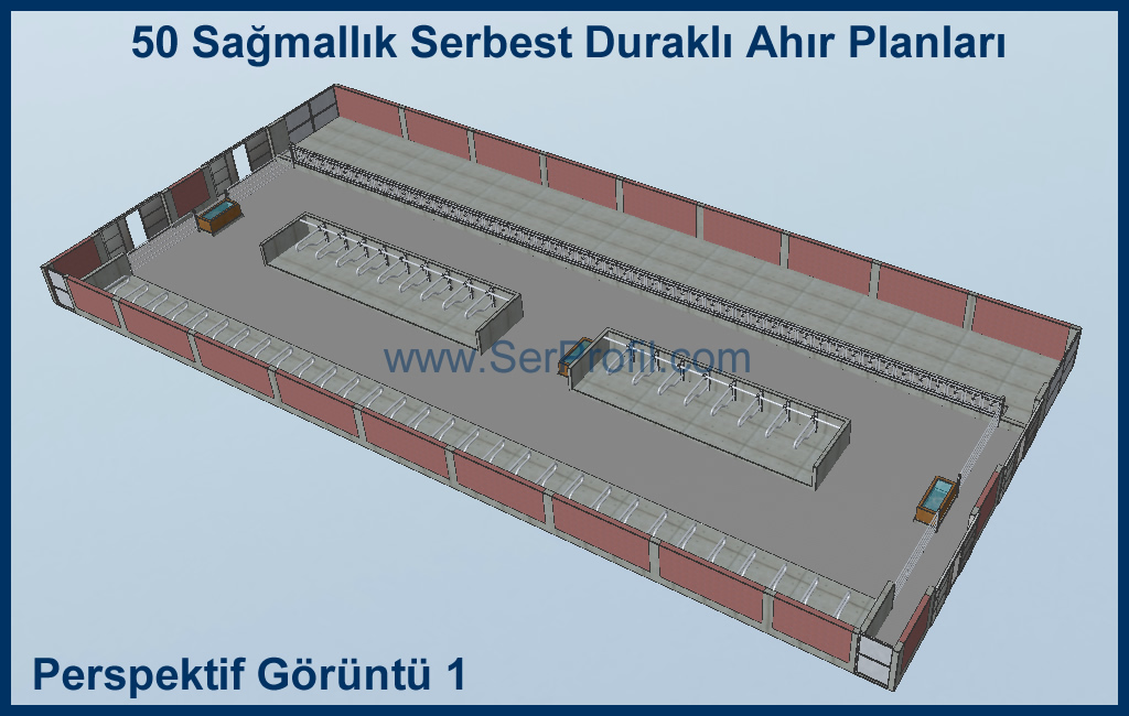 50 Sağmallık Serbest Duraklı Ahır Planları