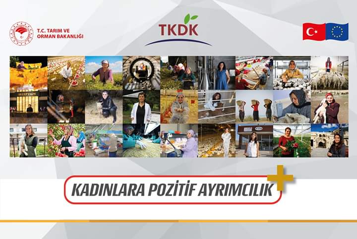 SerProfil TKDK Ipard Destekleri Hibeleri Projeleri - SerProfil.com