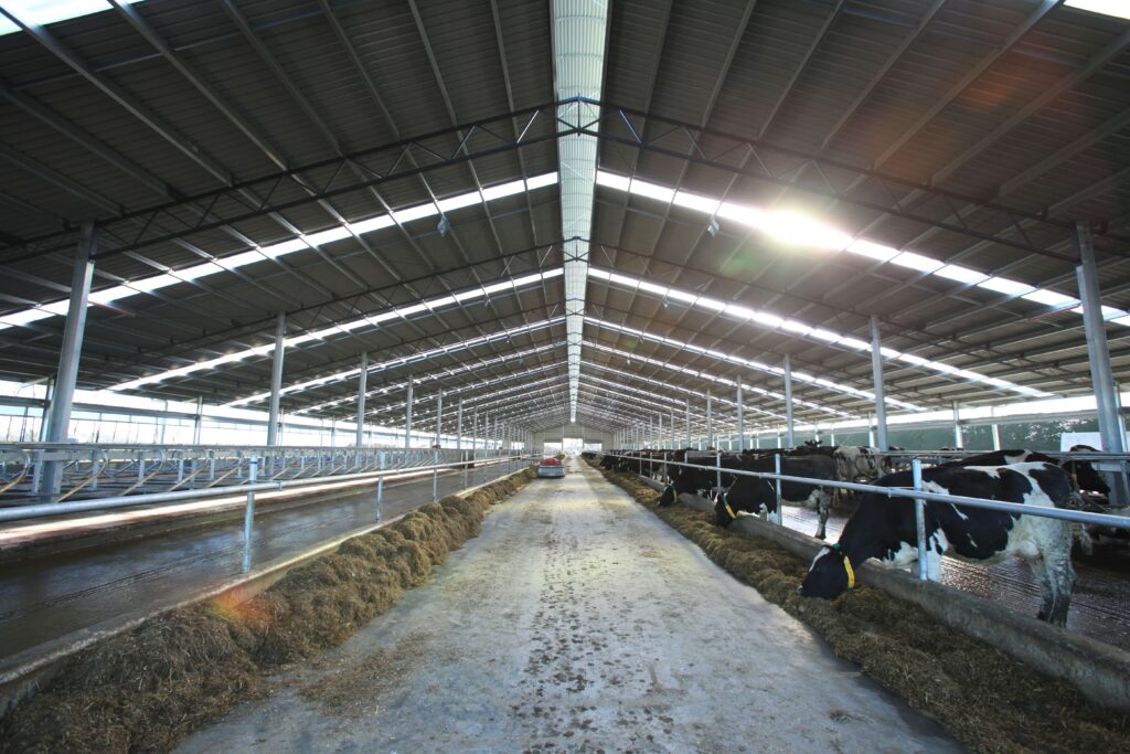 Prefabrik ÇELİK Ahırlar İmalatçısından Toptan Üretim ve Satış Fiyatları,  Prefabrik ÇELİK Ahırlar İmalatçısından Toptan Üretim Satış Fiyatları, Prefabrik ÇELİK Ahırlar İmalatçısından Toptan Üretim ve Fiyatları, Prefabrik ÇELİK Ahırlar İmalatçısından Toptan Üretim ve Satış , prefabrik ahırlar fiyatları, sahibinden prefabrik ahır fiyatları, prefabrik ahır metrekare fiyatları, prefabrik ahır yapan firmalar, hazır ahır fiyatları, çelik konstrüksiyon ahır maliyeti, prefabrik ahır yapım fiyatı daire, sahibinden prefabrik ev ikinci el, prefabrik işyeri fiyatları,