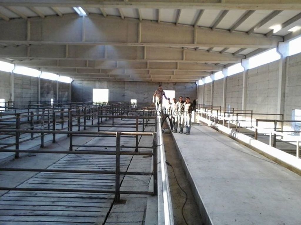 Büyükbaş Çiftlik Projeleri Hazırlıyor Uygun Fiyata Anahtar Teslim Yapıyoruz, Çiftlik Projeleri Hazırlıyor Uygun Fiyata Anahtar Teslim Yapıyoruz, Büyükbaş Projeleri Hazırlıyor Uygun Fiyata Anahtar Teslim Yapıyoruz, Büyükbaş Çiftlik Projeleri Uygun Fiyata Anahtar Teslim Yapıyoruz, Büyükbaş Çiftlik Projeleri Hazırlıyor Anahtar Teslim Yapıyoruz,   Büyükbaş çiftlik projeleri, besi çiftliği projesi örnekleri, çiftlik projeleri maliyeti, 50 başlık ahır projesi, büyükbaş hayvan çiftliği kurmak istiyorum, 10 başlık ahır maliyeti, prefabrik ahır maliyeti, besi çiftliği projeleri ve fizibilite raporları, büyükbaş hayvancılık proje örnekleri,