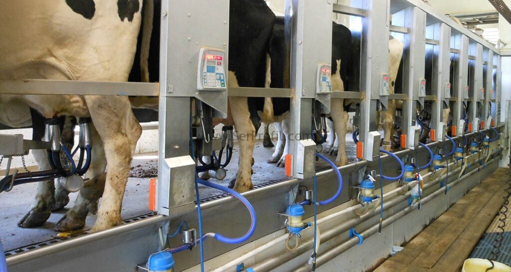ÖRNEK TKDK IPARD 100 Büyükbaşlık Besi Süt Çiftliği Ahır Projesi Fiyatlandırması, ÖRNEK TKDK IPARD 100 Büyükbaşlık Besi Süt Çiftliği Ahır Projesi, ÖRNEK TKDK IPARD 100 Büyükbaşlık Besi Süt Çiftliği Ahır Fiyatlandırması, ÖRNEK TKDK IPARD 100 Büyükbaşlık Besi Çiftliği Ahır Projesi Fiyatlandırması, ÖRNEK TKDK 100 Büyükbaşlık Süt Çiftliği Ahır Projesi Fiyatlandırması, TKDK IPARD 100 Büyükbaşlık Besi Süt Çiftliği Ahır Projesi Fiyatlandırması, ÖRNEK IPARD 100 Büyükbaşlık Besi Süt Çiftliği Ahır Projesi Fiyatlandırması, ÖRNEK TKDK IPARD Besi Süt Çiftliği Ahır Projesi Fiyatlandırması, ÖRNEK TKDK IPARD 100 Büyükbaşlık Ahır Projesi Fiyatlandırması, 100 başlık besi projesi, 50 başlık besi ahır projesi maliyeti, 100 başlık besi çiftliği fizibilitesi, örnek besi çiftliği projeleri, 100 başlık süt sığırcılığı projesi maliyeti 2017, besi hayvancılığı fizibilite raporu örneği, besi çiftliği kurma maliyeti 2017, 50 başlık ahır projesi çizim, büyükbaş hayvan çiftliği kurulumu maliyeti,