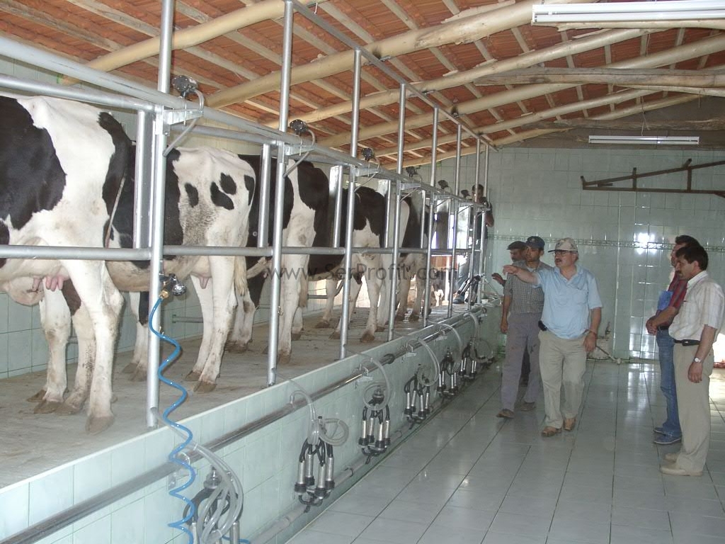 Anahtar Teslimi Prefabrik Besi Ahırları Fiyatları, Anahtar Teslimi Besi Ahırları Fiyatları, Anahtar Teslimi Prefabrik Besi Ahırları, Anahtar Teslimi Prefabrik Besi Çiftlik Ahırları Fiyatları, Anahtar Teslimi Modern Prefabrik Besi Ahırları Fiyatları, Anahtar Teslimi Ekonomik Prefabrik Besi Ahırları Fiyatları, Anahtar Teslimi Otomasyonlu Prefabrik Besi Ahırları Fiyatları,   prefabrik besi ahırları fiyatları, ikinci el prefabrik ahır fiyatları, hazır ahır fiyatları, prefabrik ahır yapan firmalar, çelik konstrüksiyon ahır maliyeti, prefabrik ahır yapım fiyatı, prefabrik ağıl fiyatları, konteyner ahır, çelik konstrüksiyon ahır fiyatları,