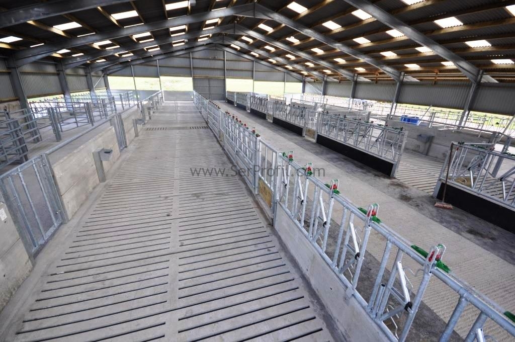 Büyükbaş BETON AHIR IZGARA SİSTEMİ Malzeme İşçilik Montaj, Büyükbaş BETON AHIR IZGARA SİSTEMİ Malzeme Fiyatları, Büyükbaş BETON AHIR IZGARA SİSTEMİ İşçilik Fiyatları, Büyükbaş BETON AHIR IZGARA SİSTEMİ Montaj Fiyatları, Büyükbaş BETON AHIR IZGARA Malzeme İşçilik Montaj Fiyatları, BETON AHIR IZGARA SİSTEMİ Malzeme İşçilik Montaj Fiyatları, Büyükbaş AHIR IZGARA SİSTEMİ Malzeme İşçilik Montaj Fiyatları, büyükbaş AHIR IZGARA SİSTEMİ, ahır taban ızgarası, beton ızgara fiyatları, beton ahır ızgara, hayvan altlığı ızgara, beton izgara, koyun alt ızgara, koyun altlığı, hayvan altlığı fiyatları,