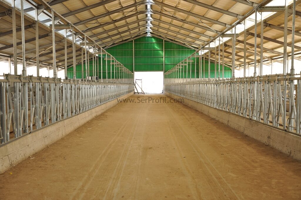 Büyükbaş Süt Sığırcılığı Projesi Maliyeti İnşaat Yapımı Ekipman Fiyatları, Büyükbaş Besi Sığırcılığı Projesi Maliyeti İnşaat Yapımı Ekipman Fiyatları, Büyükbaş Süt ve Besi Sığırcılığı Maliyeti İnşaat Yapımı Ekipman Fiyatları, Büyükbaş Süt ve Besi Sığırcılığı Projesi İnşaat Yapımı Ekipman Fiyatları, Büyükbaş Süt ve Besi Sığırcılığı Projesi Maliyeti Yapımı Ekipman Fiyatları, Büyükbaş Süt ve Besi Sığırcılığı Projesi Maliyeti İnşaat Fiyatları, Büyükbaş Süt ve Besi Sığırcılığı Projesi Maliyeti Ekipman Fiyatları, Süt ve Besi Sığırcılığı Projesi Maliyeti İnşaat Yapımı Ekipman Fiyatları,   10 büyükbaş barınak maliyeti, 10 başlık ahır projesi, prefabrik ahır maliyeti, 20 başlık ahır maliyeti, ahır projeleri fiyatları, 10 başlık süt sığırcılığı projesi maliyeti, ahır maliyeti hesaplama, 15 başlık ahır projesi video, ahır projeleri indir,