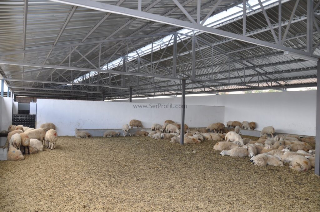 prefabrik ağıl fiyatları, sahibinden prefabrik ahır fiyatları, prefabrik ahır yapan firmalar, hazır ahır fiyatları, prefabrik ahır metrekare fiyatları, prefabrik ahır yapım fiyatı, çelik konstrüksiyon ahır maliyeti, konteyner ahır, prefabrik besi ahırları fiyatları, Prefabrik Koyun Keçi Ağıl Projeleri Yapım Fiyatları