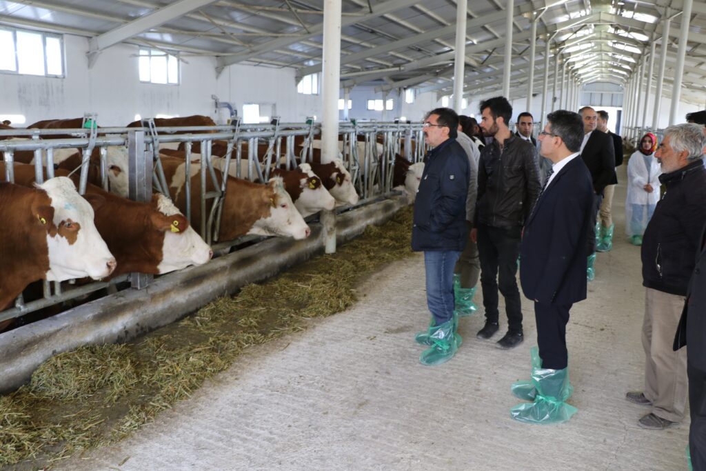 70 Büyükbaş Küçükbaş Ahır Çiftlik Sadece Çelik Çatı Maliyeti , sadece çelik çatı maliyeti 70 başlık ahır, profil çatı maliyeti, çelik çatı fiyat hesaplama, 100 m2 çatı katı maliyeti, çatı yaptırmanın maliyeti, çelik çatı m2 fiyatı, 90 m2 çatı maliyeti, çatı işçilik fiyatları, 50 m2 çatı maliyeti,